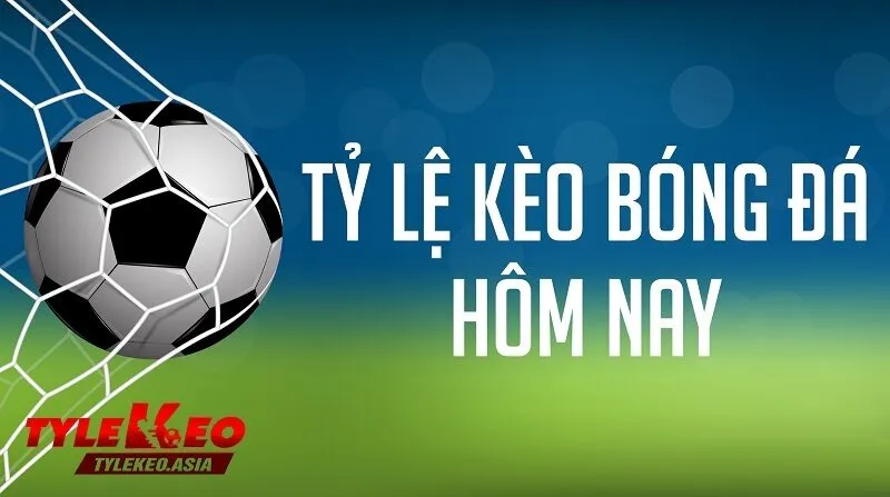 Không nên chạy theo tâm lý của đám đông