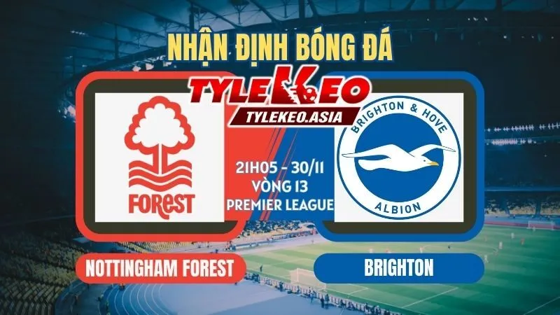 Nhận Định Soi Kèo Nottingham Vs Brighton 21h05 ngày 30/11