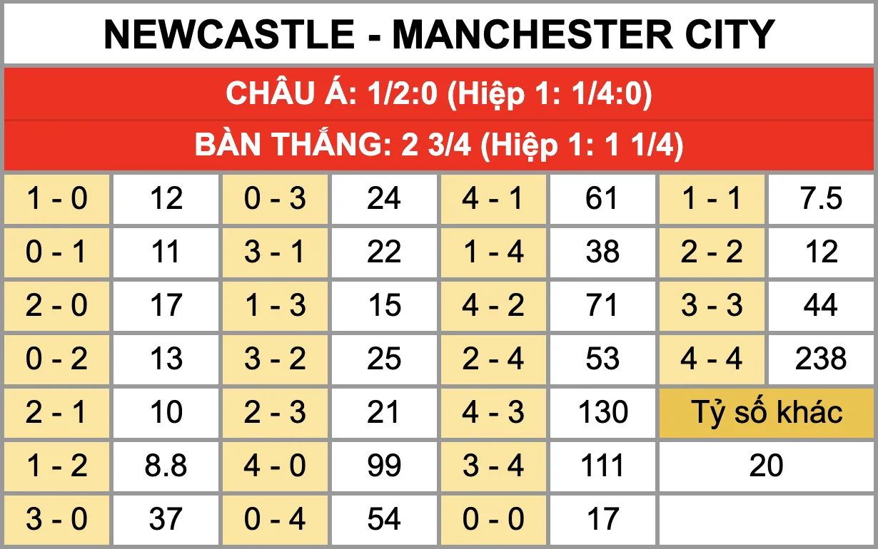 Tỷ lệ kèo tỷ số chính xác trận đấu Newcastle Vs Manchester City 14/1