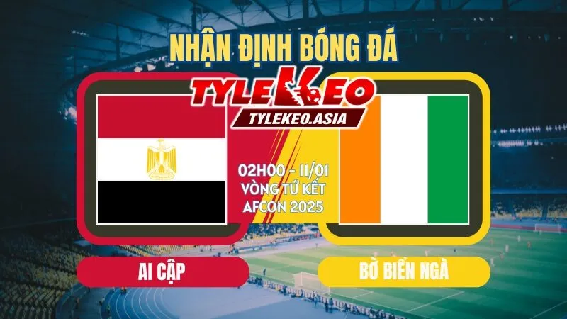 Nhận Định Soi Kèo Ai Cập Vs Bờ Biển Ngà 02h00 11/1